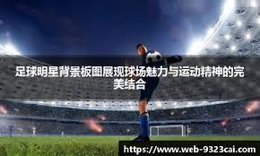 综合度假区的风险与收益平衡（综合度假区风险与回报的权衡）